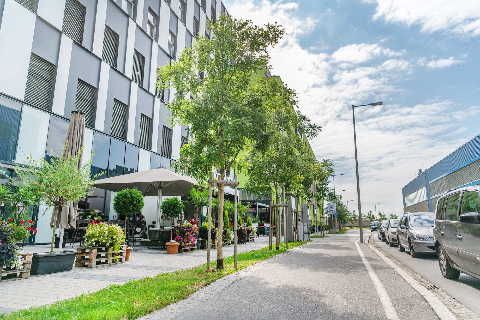 BISHER EROLGREICH UMGESETZT