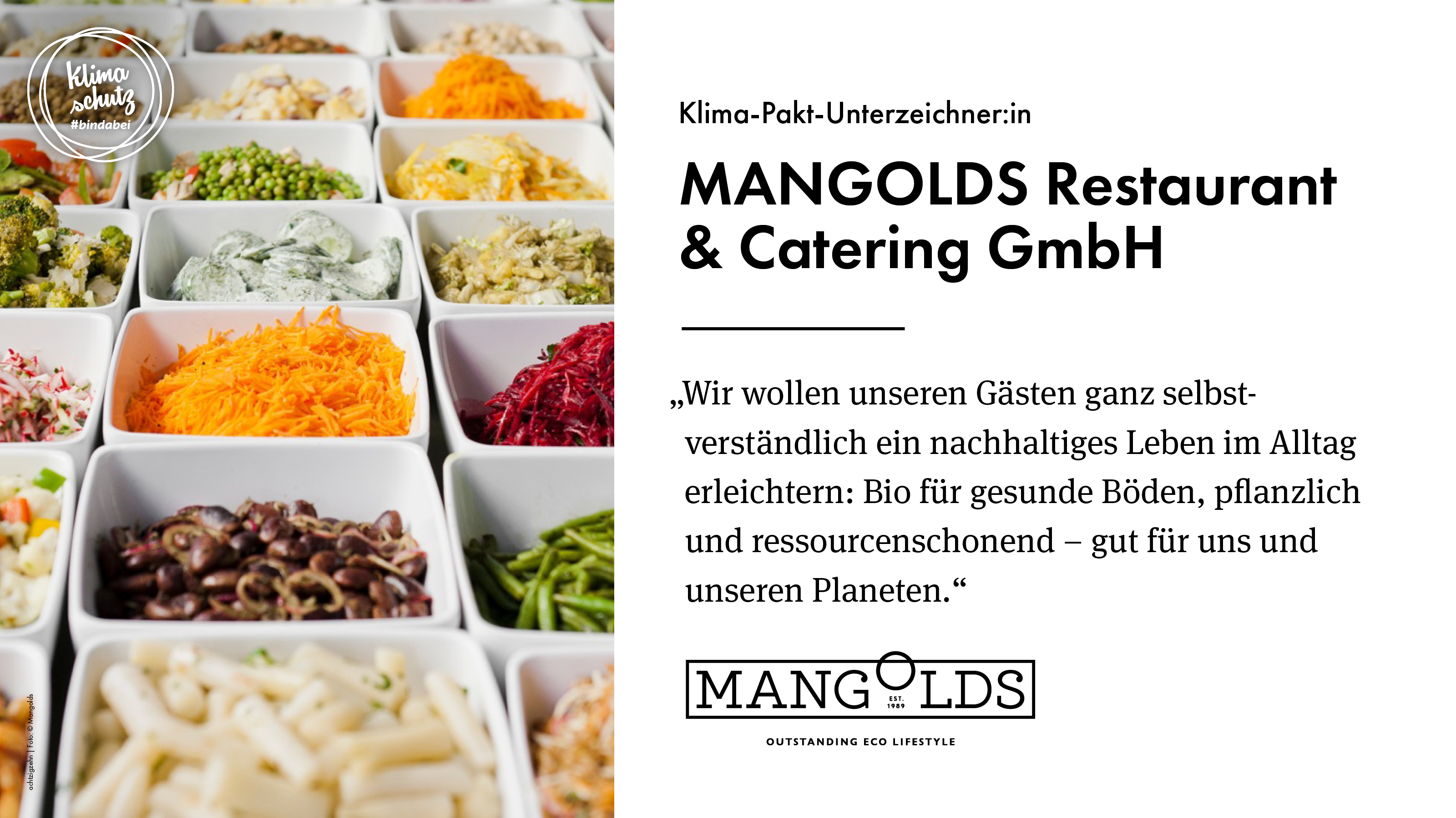 MANGOLDS