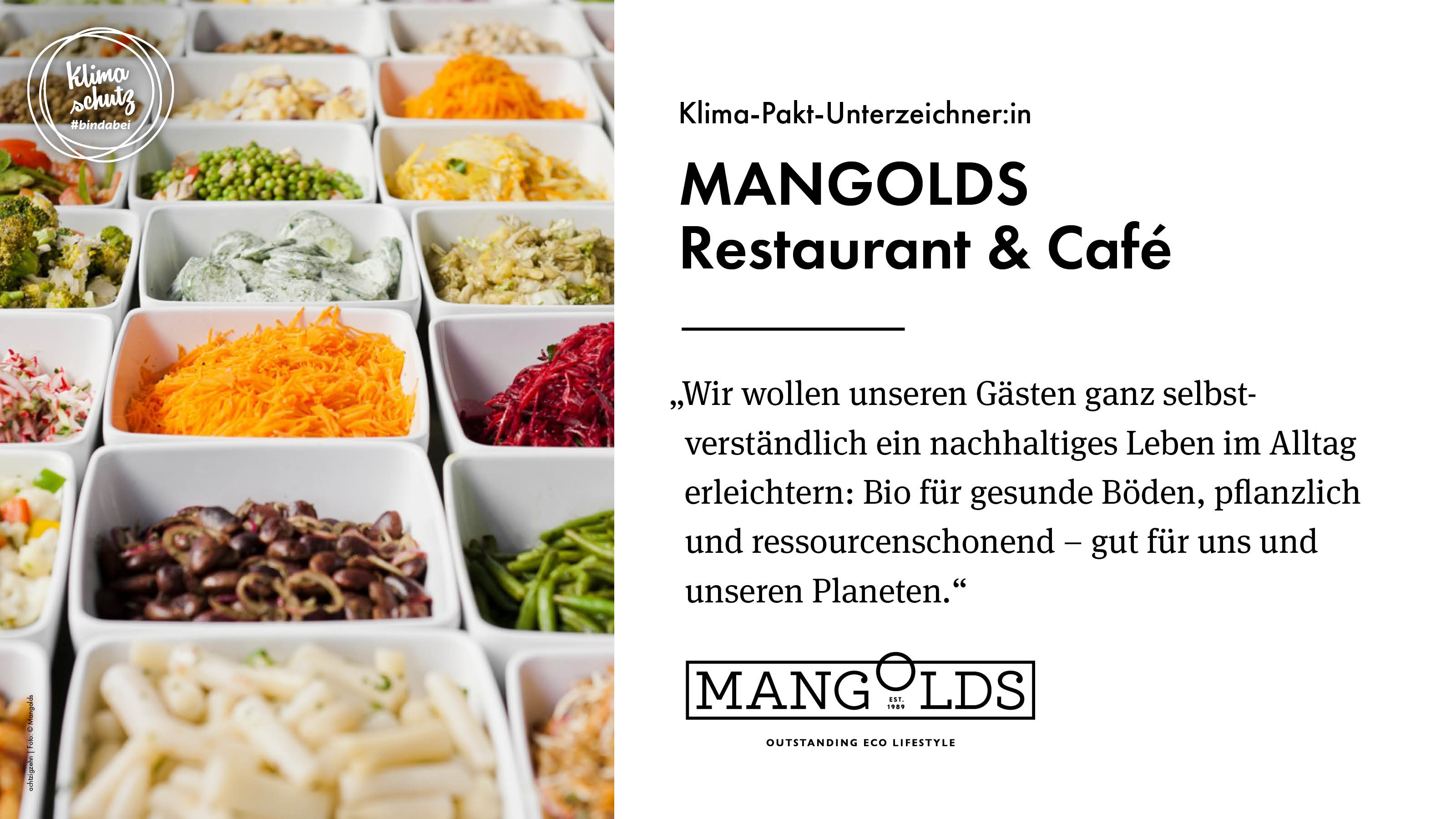 MANGOLDS