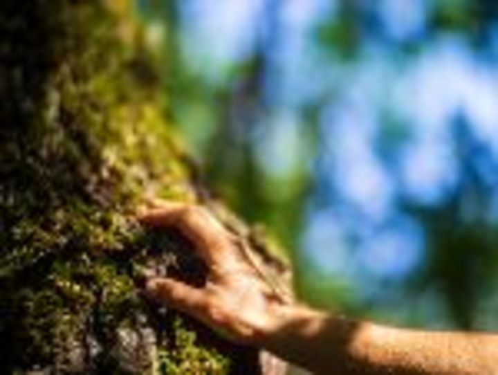 Klimafreundliches Leben